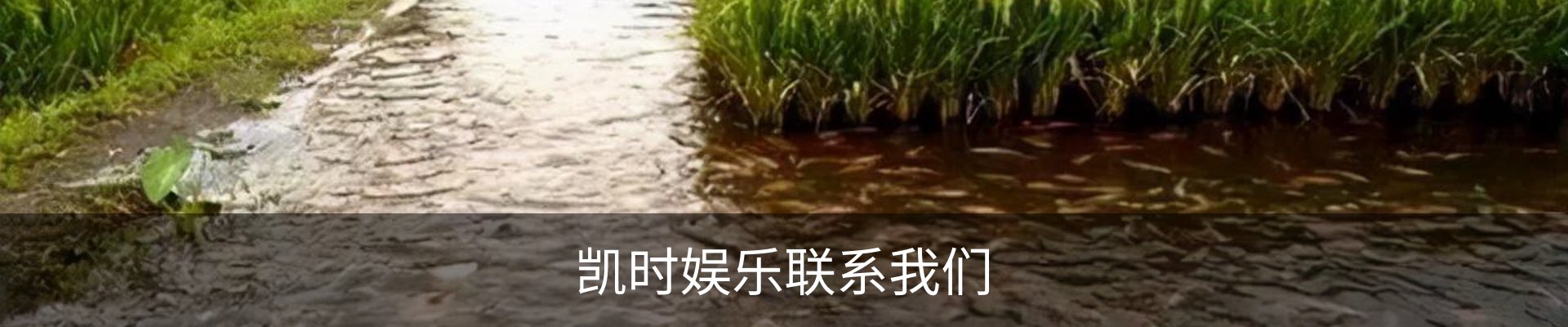 凯时娱乐联系我们