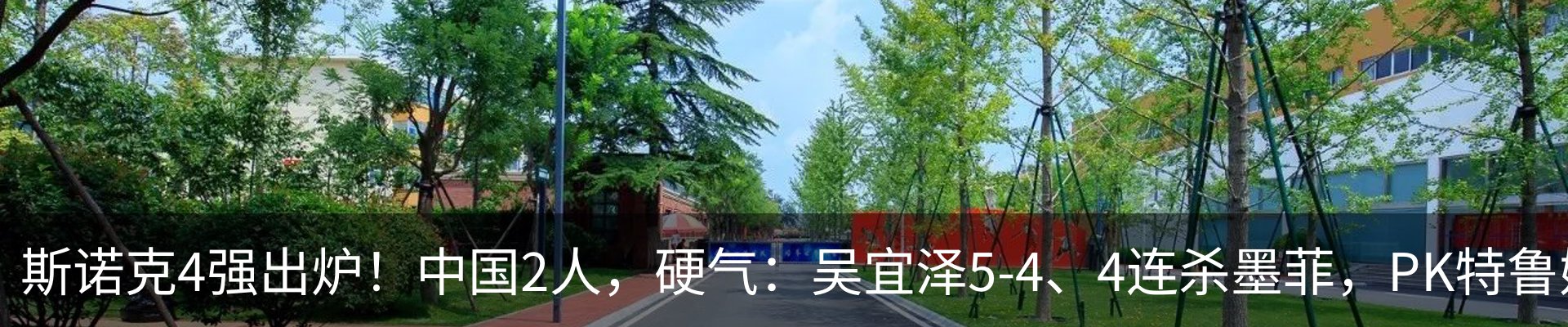 新闻动态