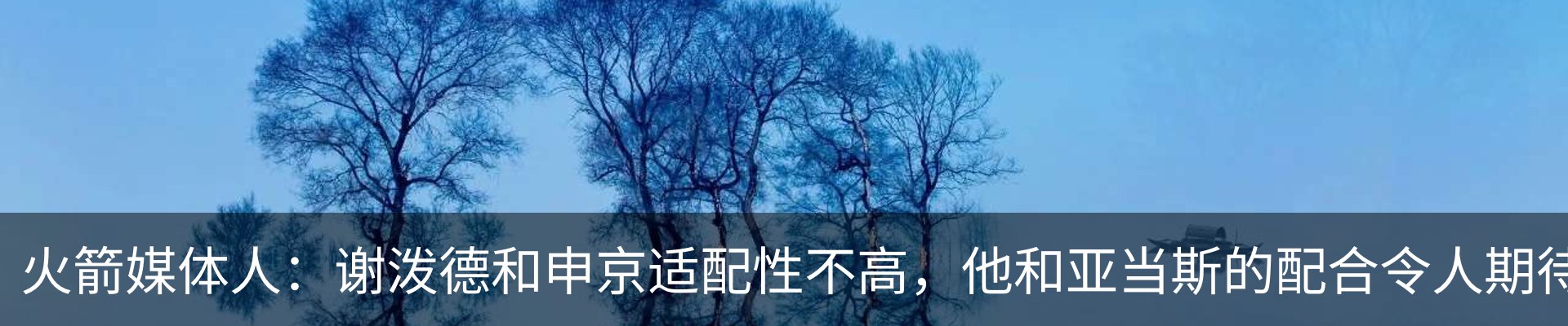 新闻动态